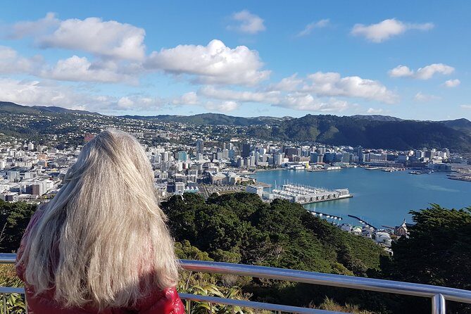 Private Wellington Full Day Sightseeing Tour - What to Expect from Your Wellington Private Tour