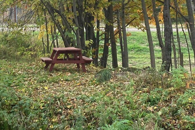 Private Westboro Equine Experience - Exploring the Private Westboro Equine Experience