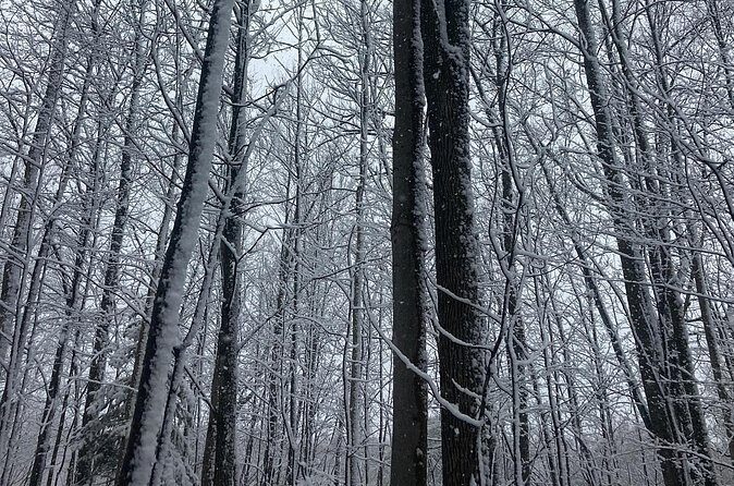 Private Westboro Equine Experience - Final Thoughts: Is the Private Westboro Equine Experience Worth It?