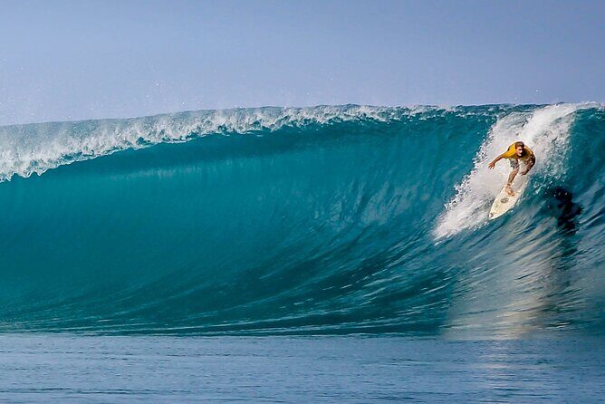 Private Whale Outing on the Tahiti Peninsula - What to Expect on the Tour