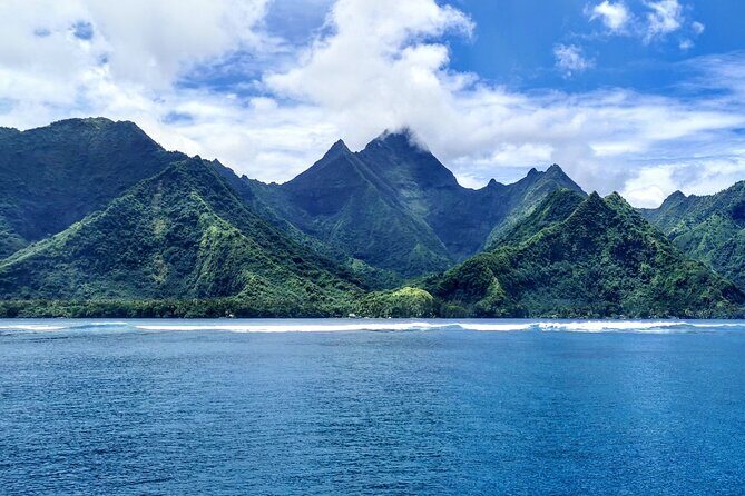 Private Whale Outing on the Tahiti Peninsula - Who Will Love This Tour?