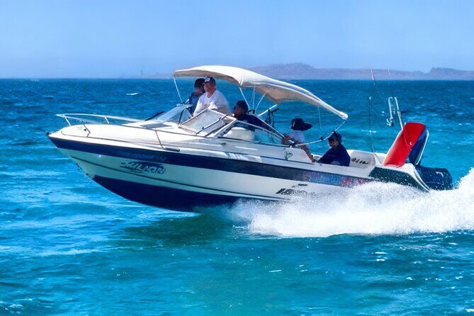 Private Whale Shark Snorkeling Activity in La Paz - Key Points