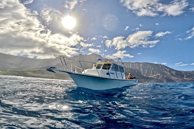 Private Whale Watch and Snorkel off Kaua'i - The Value of a Private Tour