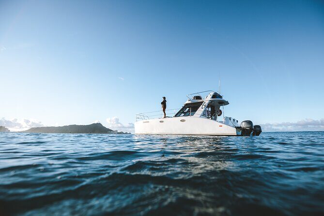 Private Whale Watching and Coastal Swimming Tour Honolulu - Why This Tour Stands Out