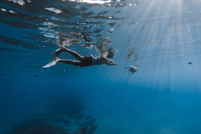 Private Whale Watching and Coastal Swimming Tour Honolulu - FAQ