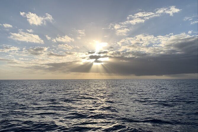 Private Whale Watching and Dolphin Excursion - Is It Worth the Price?
