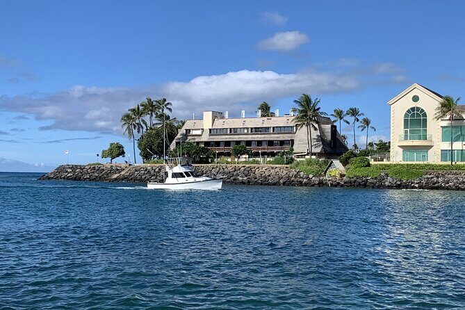 Private Whale Watching and Dolphin Excursion - FAQ