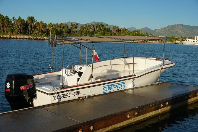 Private Whale Watching in San José del Cabo - What You Can Expect from the Tour