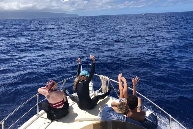 Private Whale Watching Safari from North Shore Oahu - FAQ