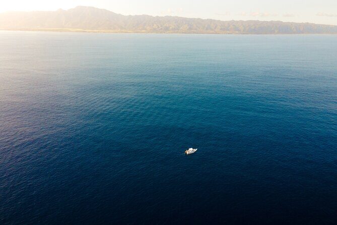 Private Whale Watching Tour of Oahu - Final Thoughts