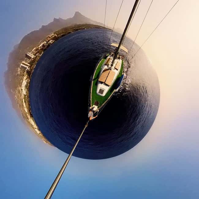 Private Whales & Dolphins Excursion: for you exclusively! - Key Points