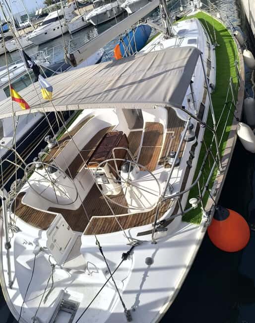 Private Whales & Dolphins Excursion: for you exclusively! - The Sum Up