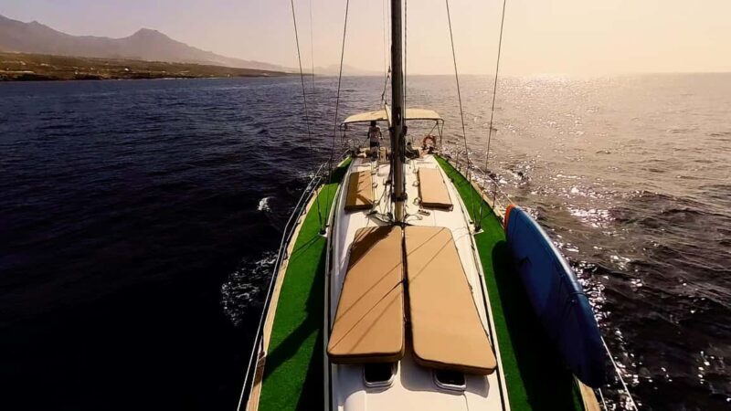 Private Whales & Dolphins Excursion: for you exclusively! - FAQ