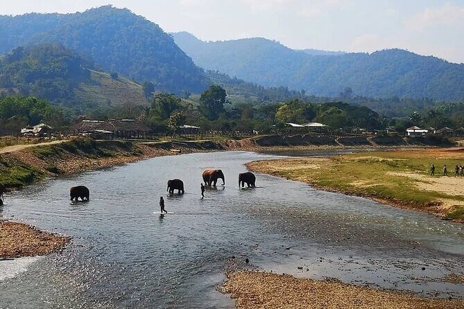 Private White Water Rafting and ATV Adventure in Chiang Mai - FAQ