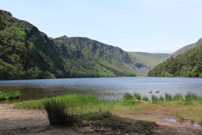 Private Wicklow Mountains Day Tour - An In-Depth Look at the Wicklow Mountains Private Tour