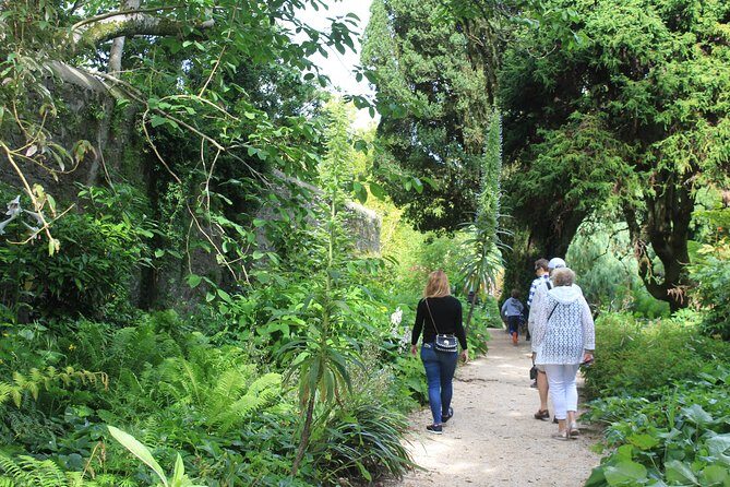 Private Wicklow Mountains Day Tour - Final Thoughts