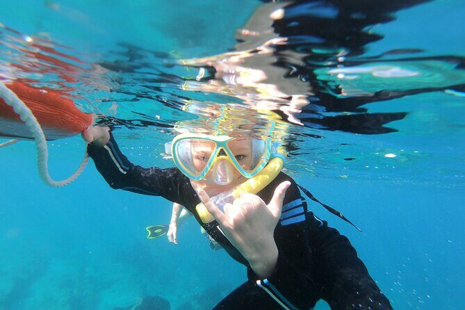 Private Wild Dolphin Encounter Day Trip - FAQ