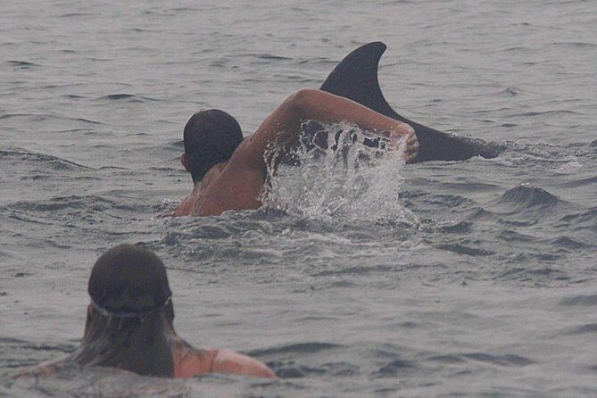 Private Wild Dolphin Encounter in Puerto Vallarta - What the reviews reveal