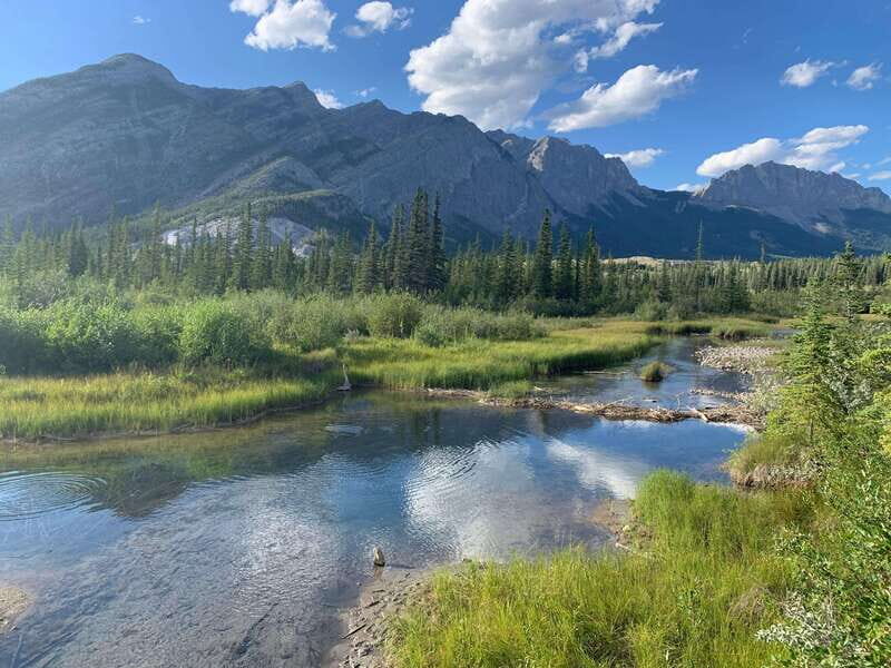 PRIVATE Wilderness and Wildlife Walking Tour - 2.5H - Key Points