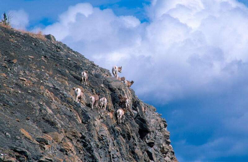 PRIVATE Wilderness and Wildlife Walking Tour - 2.5H - What to Expect on the Tour