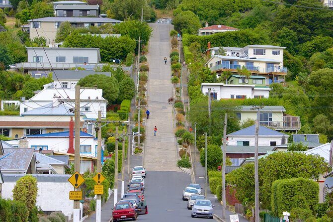 Private Wildlife and Penguin Tour in Dunedin with Ticket - The Sum Up: Is This Tour Right for You?