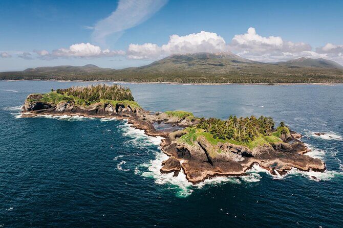 Private Wildlife Photography Workshop: Sitka Boat Tour (Full Day) - FAQ