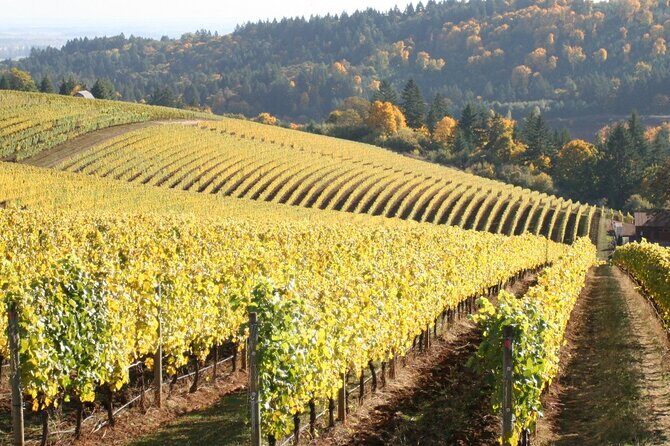 Private Willamette Valley Wine Tour from Portland (All tasting fees included) - The Value Proposition: What’s the Real Deal?