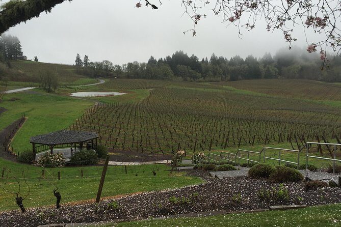 Private - Willamette Valley Wine Tour From Portland (tasting fees included) - Exploring the Itinerary in Detail