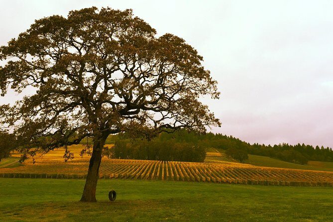 Private - Willamette Valley Wine Tour From Portland (tasting fees included) - FAQs