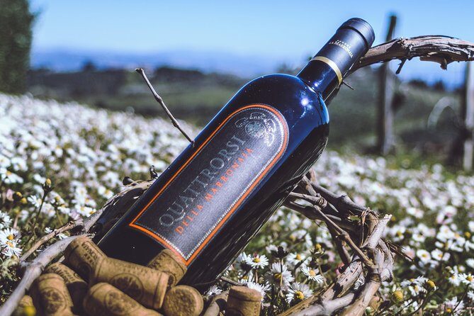 Private Wine and Extra Virgin Olive Oil Tasting - Final Thoughts: Who Should Book This Tour?