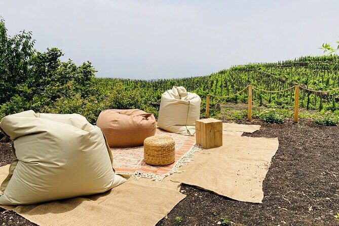 Private Wine and Food Tasting Immersed in Nature in Milo - FAQ