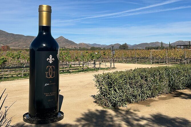 Private Wine and Food Tour in Valle de Guadalupe - Exploring the Valle de Guadalupe Private Tour