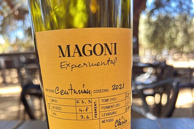 Private Wine and Food Tour in Valle de Guadalupe - The Sum Up