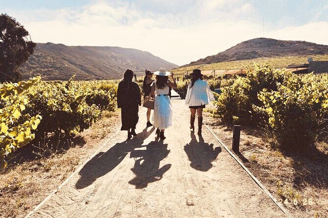 Private Wine and Gastronomic Tour in Valle de Guadalupe - A Closer Look at the Itinerary