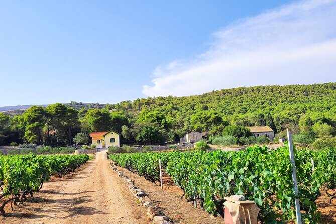 Private Wine and Gin Tour Around the Island of Korcula - Practical Tips for Travelers