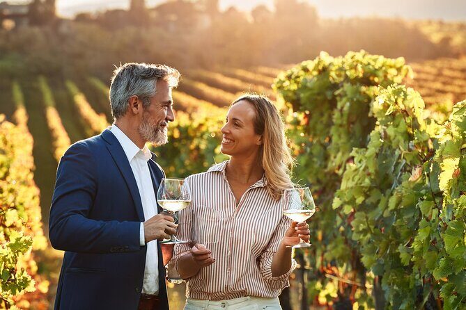 Private Wine and Local Flavors Tour from Palma de Mallorca - What You Can Expect from the Tour