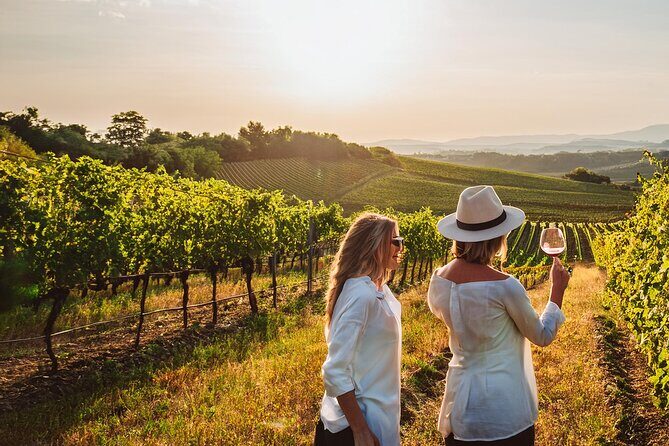 Private Wine and Local Flavors Tour from Palma de Mallorca - Practical Details & Considerations