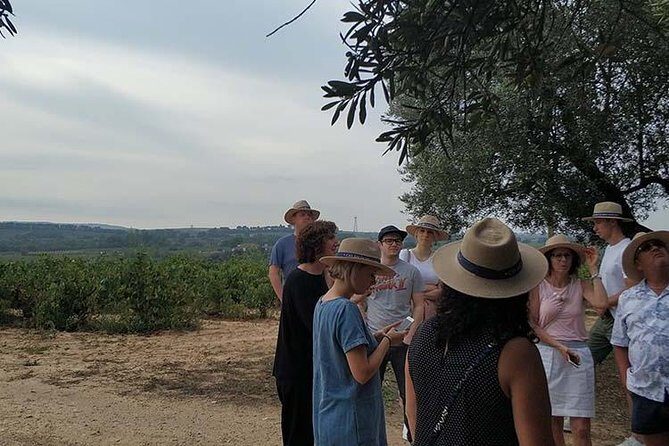 Private Wine & Cava Tasting Tour In Penedes with hotel pick up - A Deep Dive into the Penedés Private Wine & Cava Tour