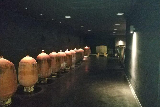 Private Wine & Cava Tasting Tour In Penedes with hotel pick up - The Sum Up