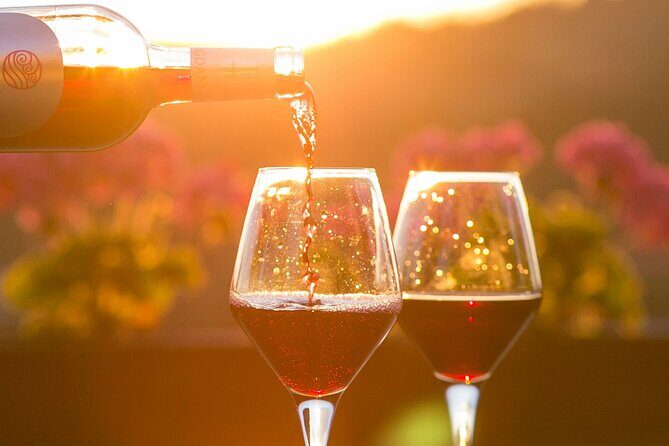 Private Wine Cellar Tour Near Rome - The Sum Up