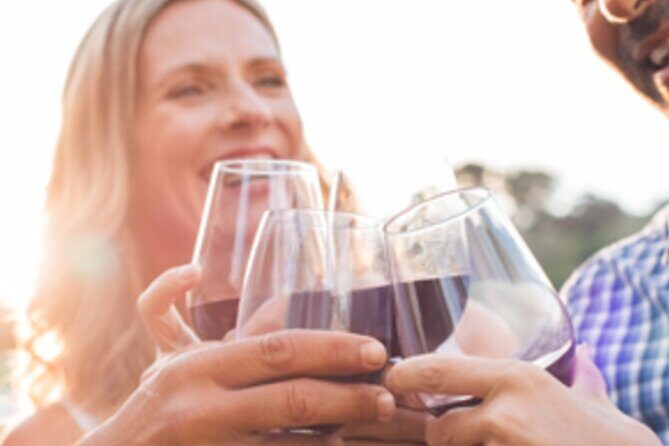 Private Wine & Charcuterie Tour (Customizable) - A Close Look at the Private Wine & Charcuterie Tour in Niagara