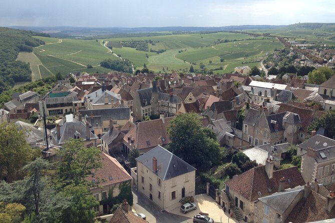 Private wine & cheese tour to Sancerre vineyards from Paris - Practical Considerations and Potential Drawbacks