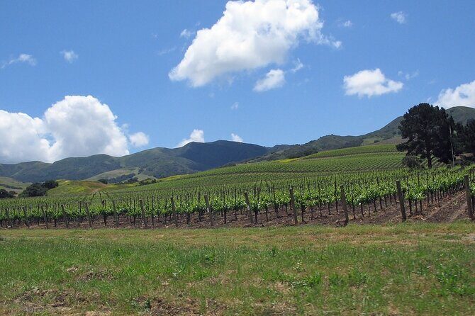 Private Wine Country Tour in Uncork Santa Barbara - Final Thoughts: Who Should Consider This Tour?