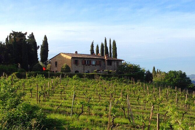 Private wine & EVO Oil Tasting with Tuscan Meal - The Sum Up: Who Will Love This Tour?