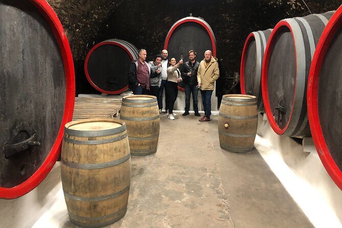 Private wine, food & heritage tour from Prague to Bohemia - Who Will Love This Tour?