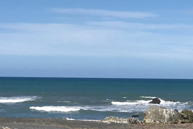 Private Wine Gourmet and Scenic Delights Tour from Blenheim - The Sum Up