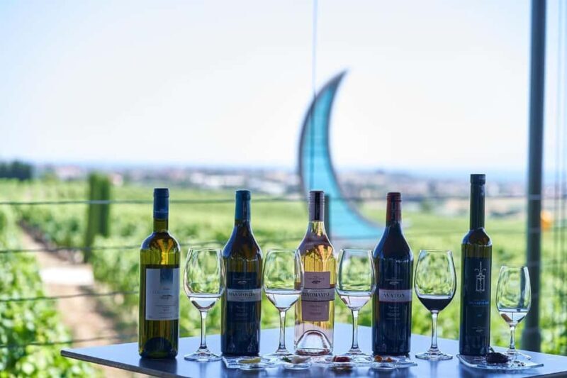 Private Wine & Museum Tour at Gerovassiliou Winery - Exploring the Private Wine & Museum Tour at Gerovassiliou Winery