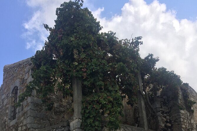 PRIVATE-Wine+ Olive Oil-Old Traditional Villages-Old Wind Mills - FAQ