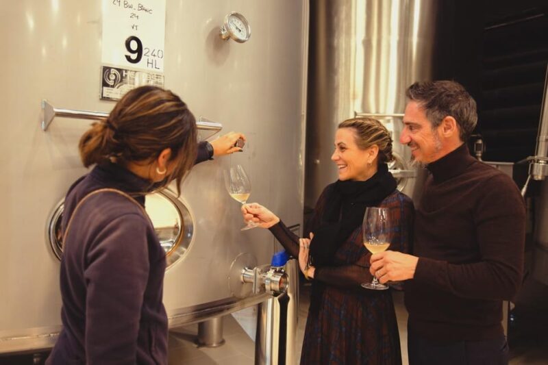 Private Wine, Tapas & Cava Experience from Barcelona - Key Points