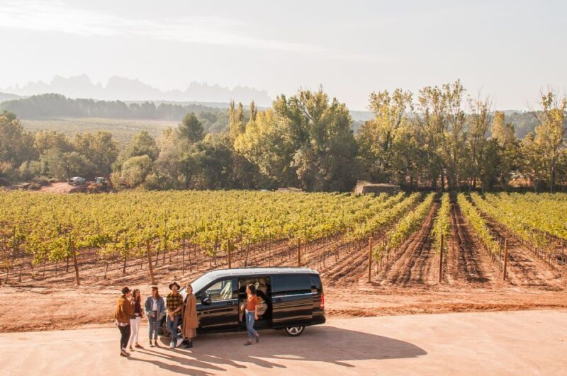 Private Wine, Tapas & Cava Experience from Barcelona - Potential Drawbacks